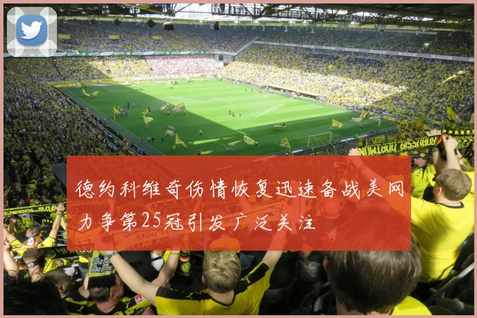 德约科维奇伤情恢复迅速备战美网力争第25冠引发广泛关注