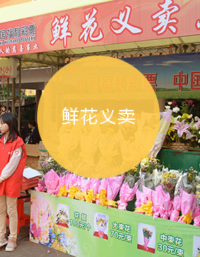 鲜花义卖